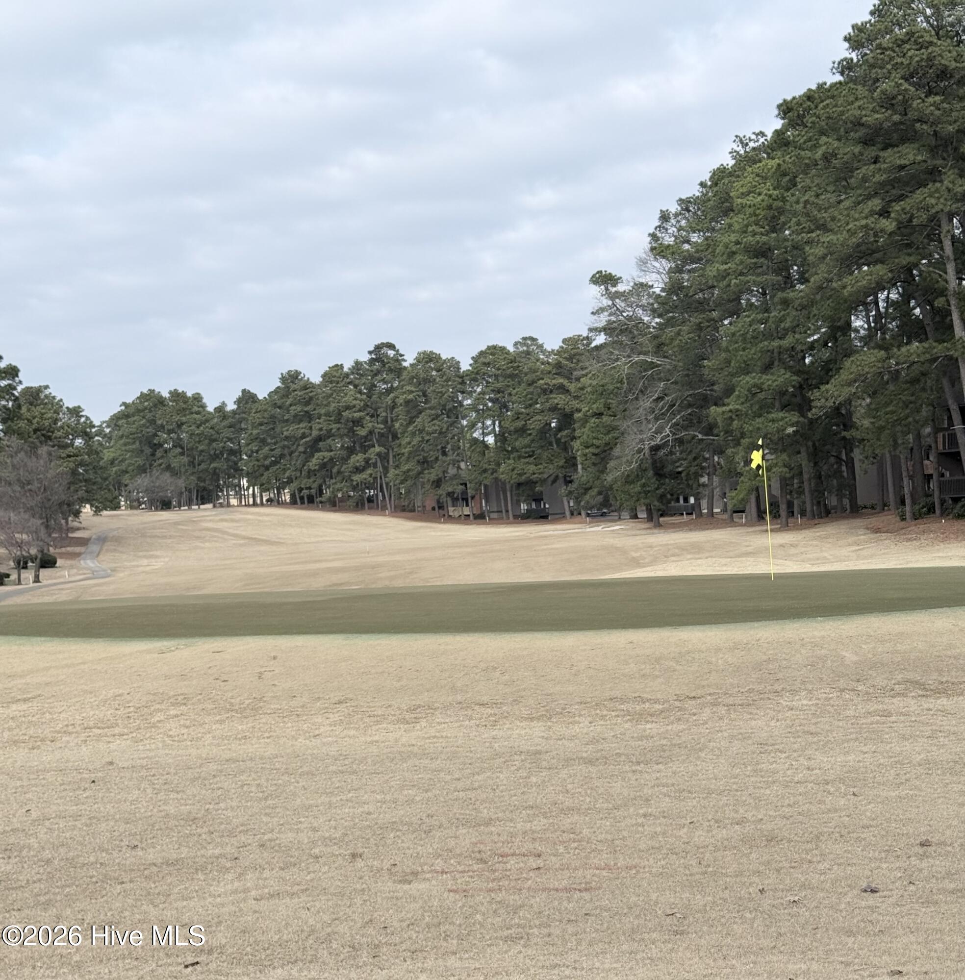 5 Pine Tree Road, Unit 205 Pinehurst, NC 28374 - Photo 44 of 45 IMG_8936