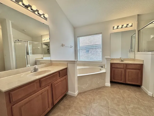 a bathroom with a tub double vanity sink and a large mirror