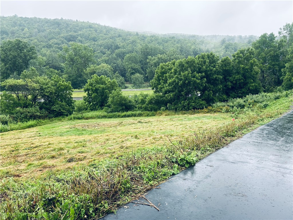 4947 County Route Bath, NY 14810 - Photo 24 of 27