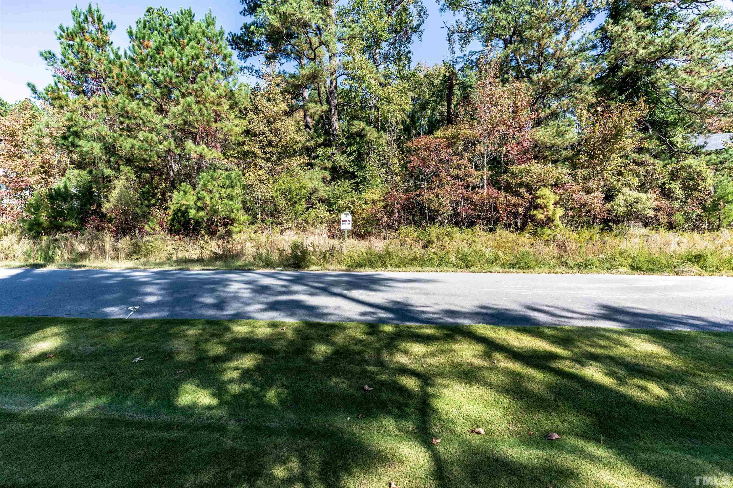 a view of yard with green space
