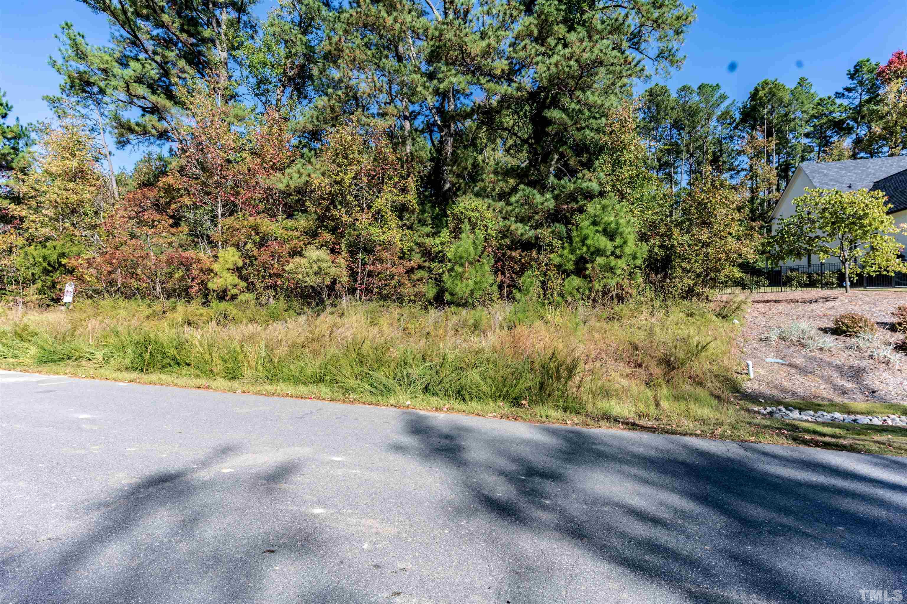 110 Turner Ridge Circle Durham, NC 27713 - Photo 6 of 12 a view of a yard with a tree