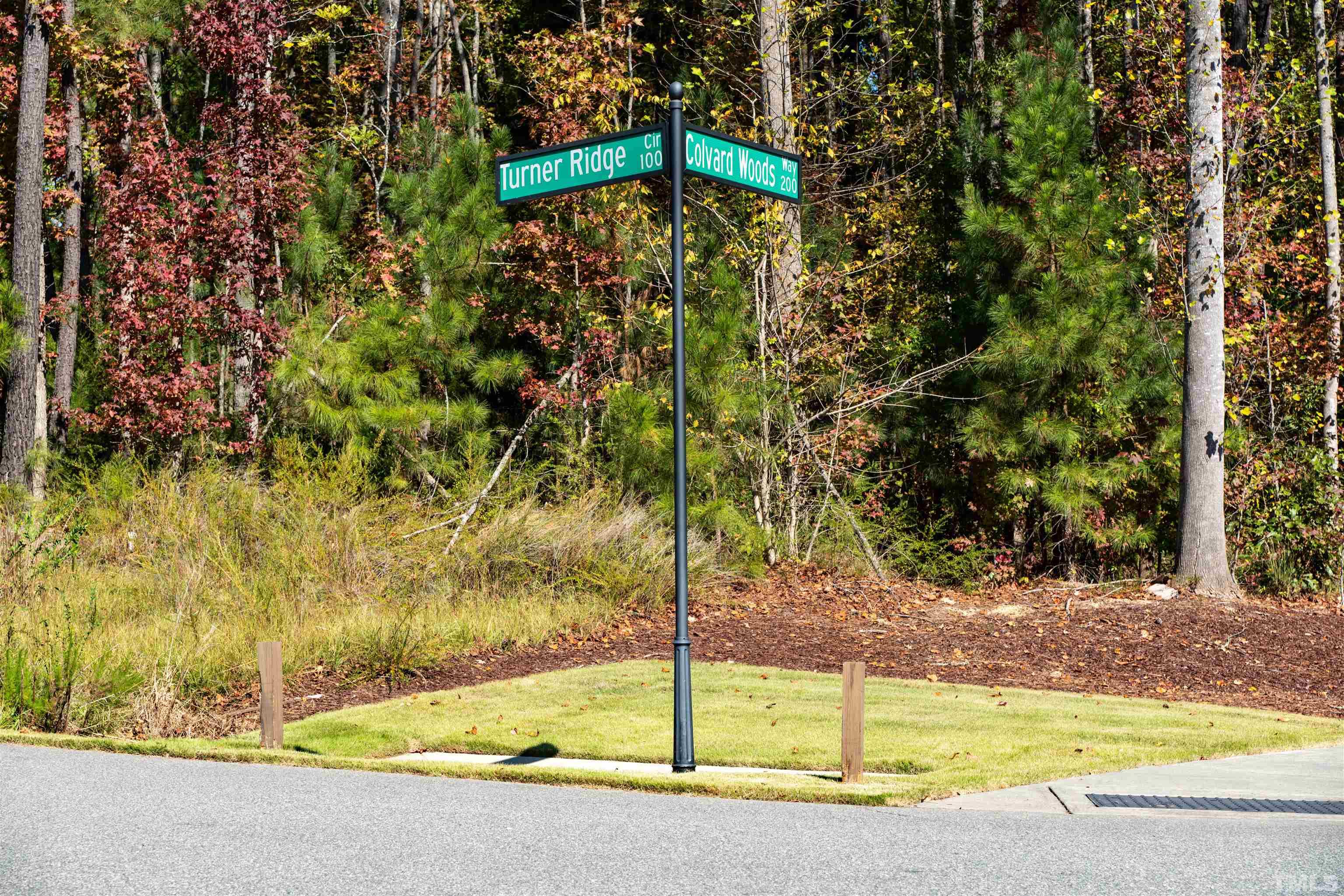 110 Turner Ridge Circle Durham, NC 27713 - Photo 7 of 12 a view of a swimming pool with a yard