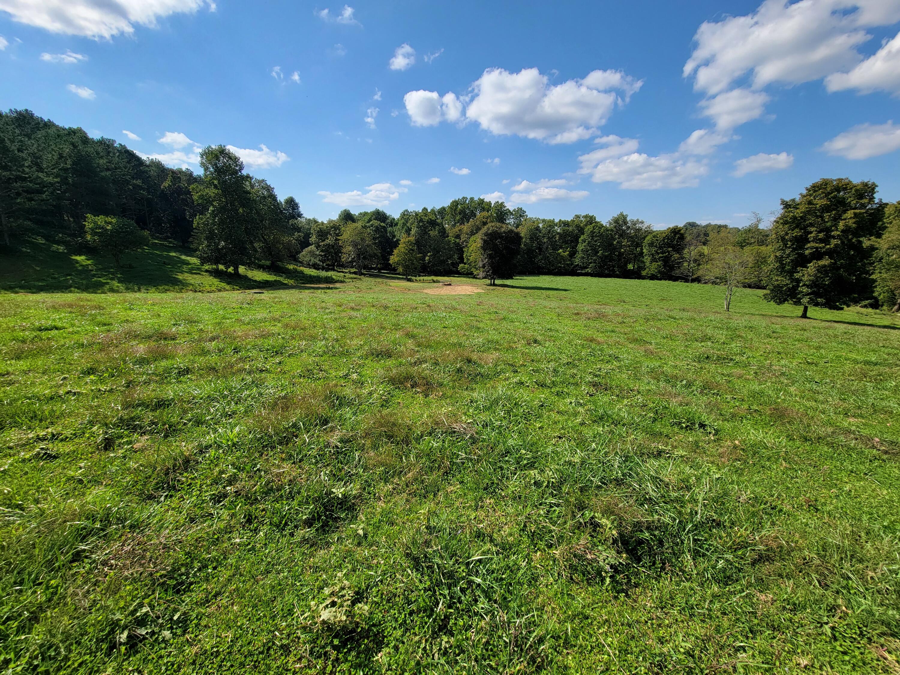 1301 Cassidy Road London, KY 40744 - Photo 11 of 13 Fee photo 9