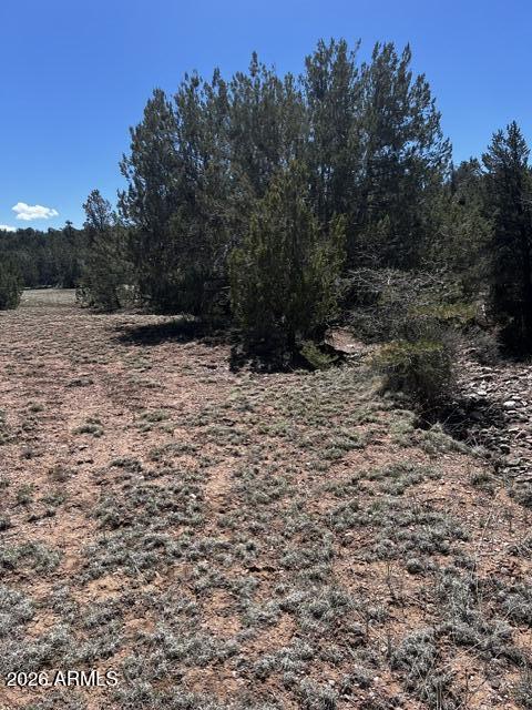 Lot 15 Juniper Mtn Ranches, Unit 15 Seligman, AZ 86337 - Photo 12 of 13 a view of empty space and trees all around