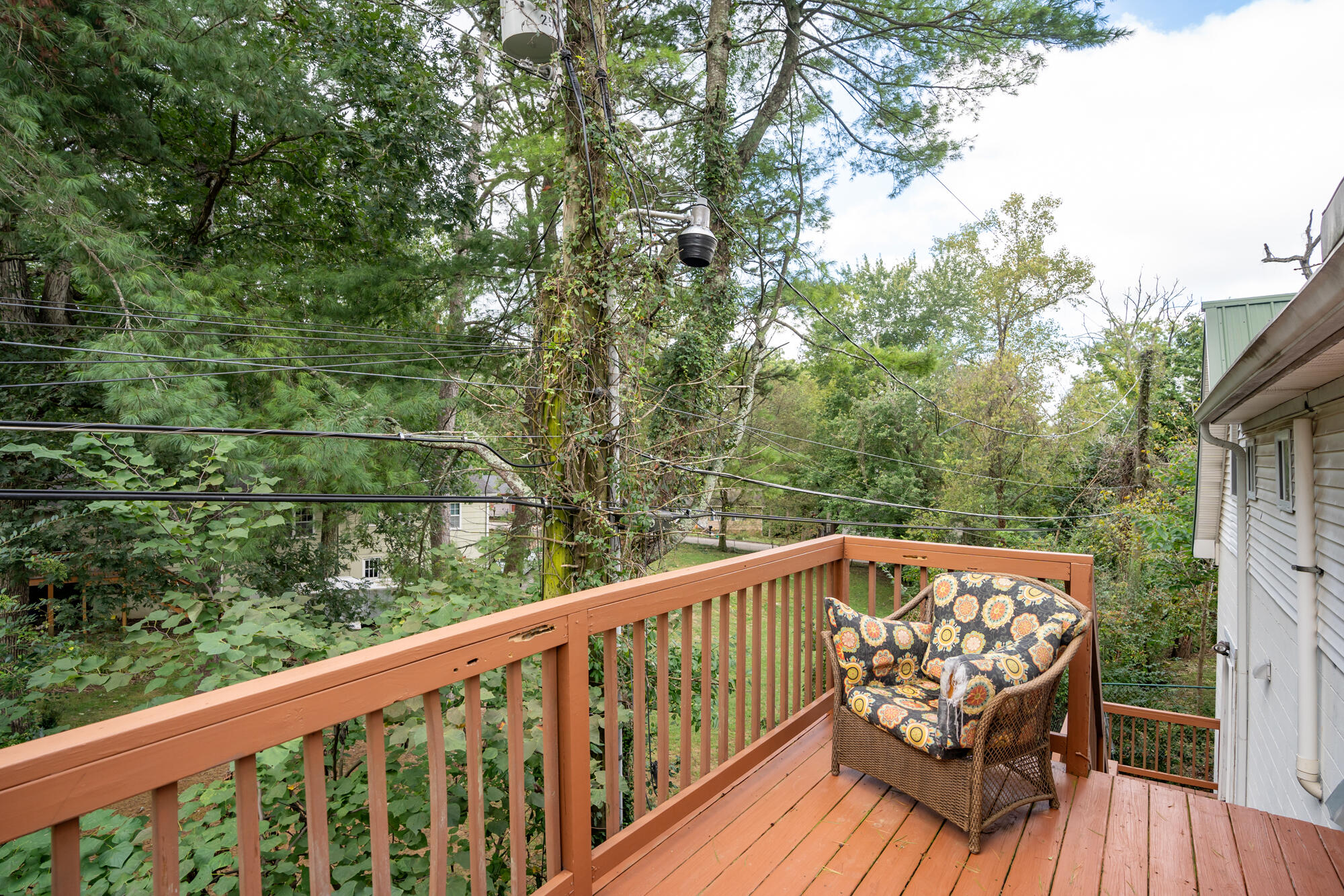 912 Ridgeway Avenue Signal Mountain, TN 37377 - Photo 57 of 71 912 Ridgeway Ave