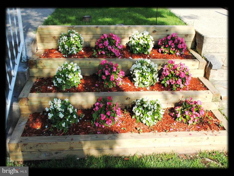 8612 Willow Oak Road Baltimore, MD 21234 - Photo 4 of 30 GORGEOUS LANDSCAPING
