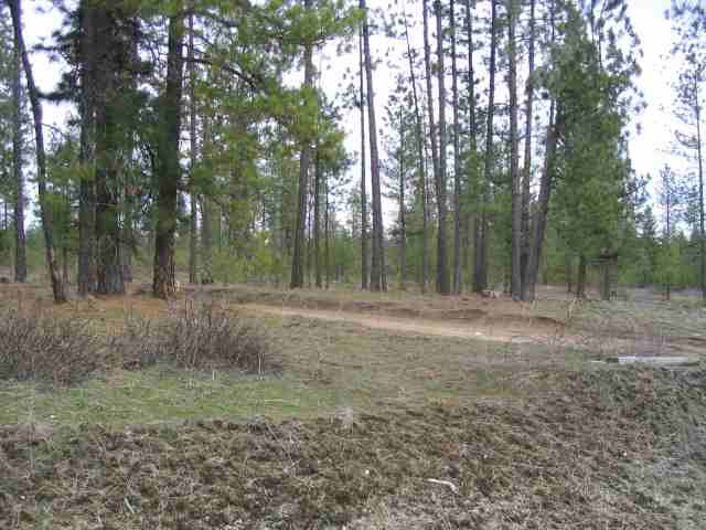 42408 North Regal Road Elk, WA 99009 - Photo 1 of 3 Gallery Image 1
