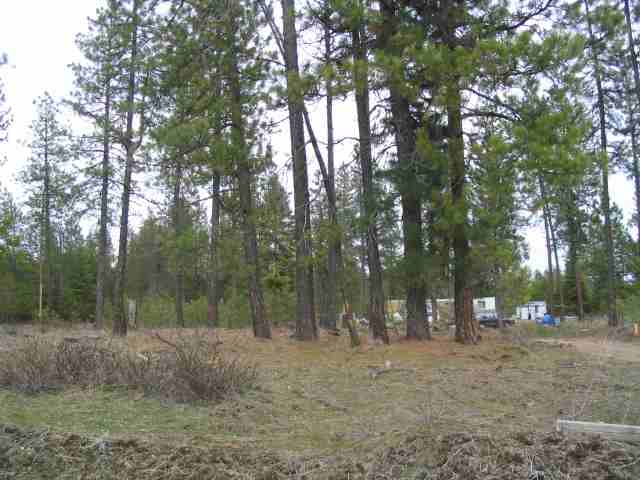 42408 North Regal Road Elk, WA 99009 - Photo 2 of 3 Gallery Image 2