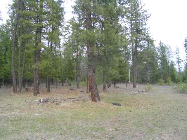42408 North Regal Road Elk, WA 99009 - Photo 3 of 3 Gallery Image 3