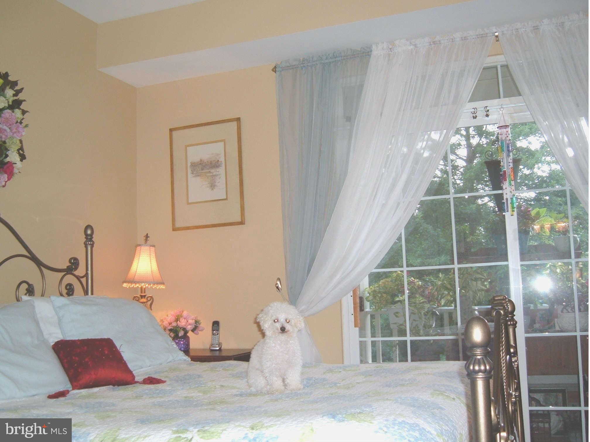 1300 Windleaf Drive, Unit 146 Reston, VA 20194 - Photo 5 of 9 Bedroom Master