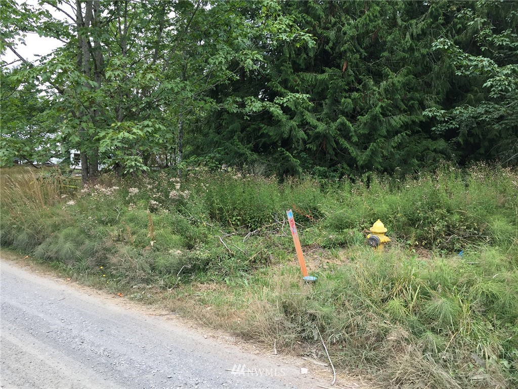 103 Watershed Road Port Angeles, WA 98362 - Photo 10 of 25 Gallery Image 10