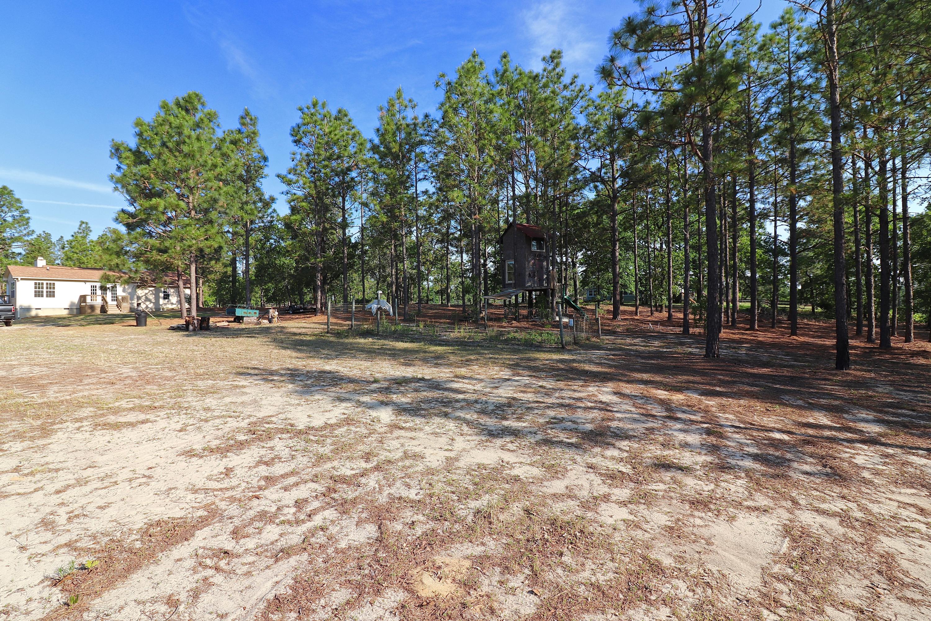 4011 Hoffman Road Jackson Springs, NC 27281 - Photo 45 of 56 IMG_2224