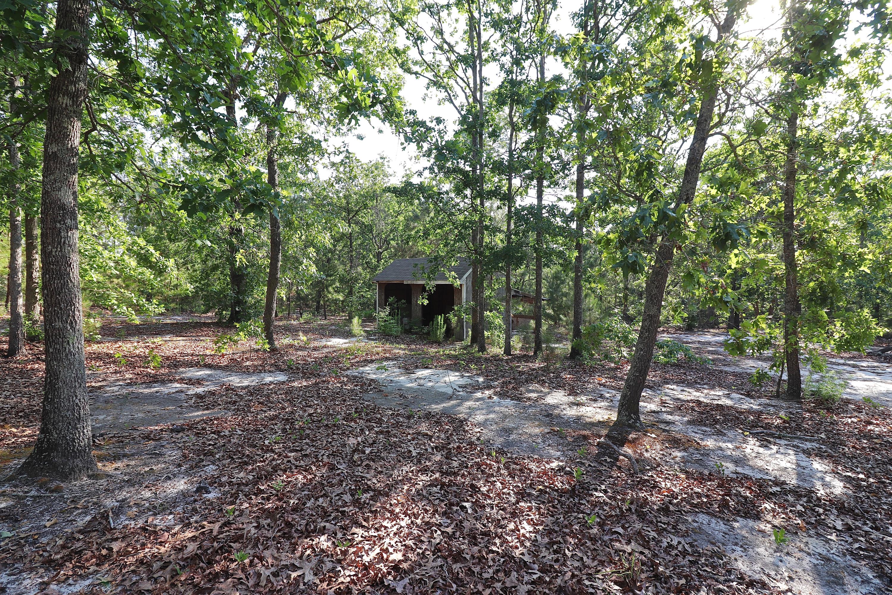 4011 Hoffman Road Jackson Springs, NC 27281 - Photo 51 of 56 IMG_2234