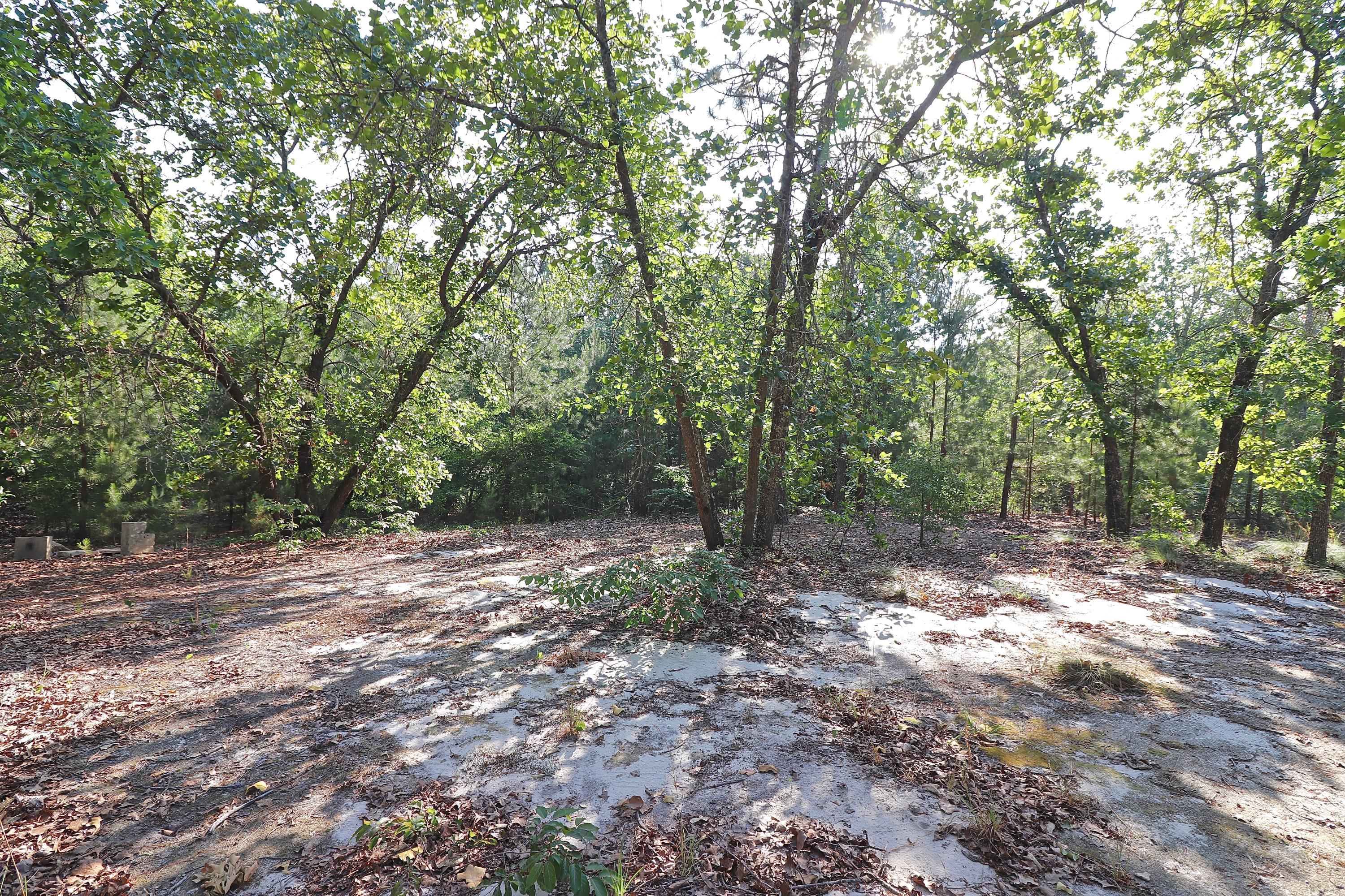 4011 Hoffman Road Jackson Springs, NC 27281 - Photo 52 of 56 IMG_2236