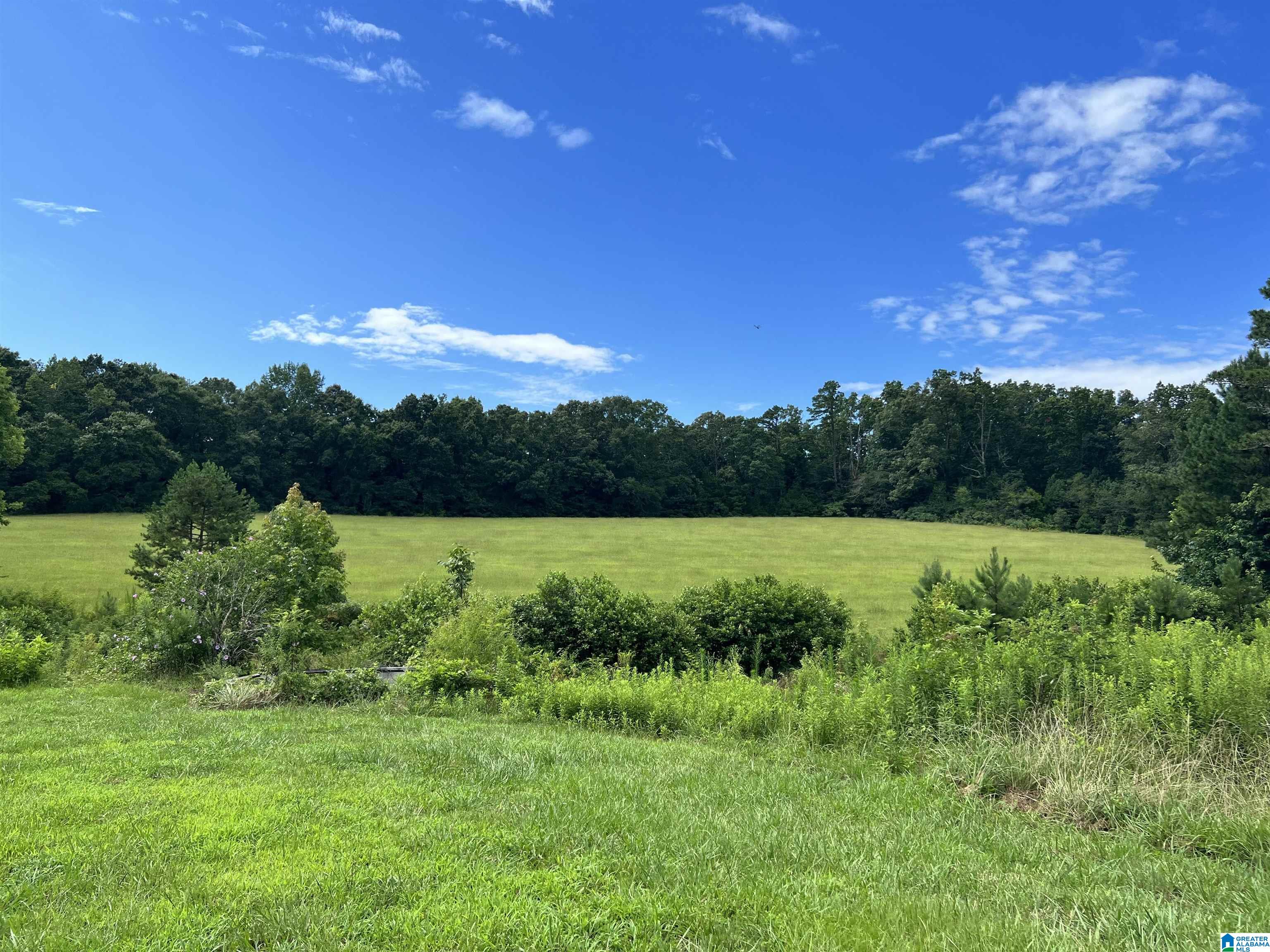 11344 Tabor Road Collinsville, AL 35961 - Photo 1 of 6