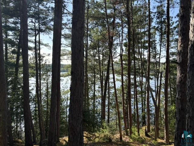 3506 Hanson Lk Road Ely, MN 55731 - Photo 16 of 26