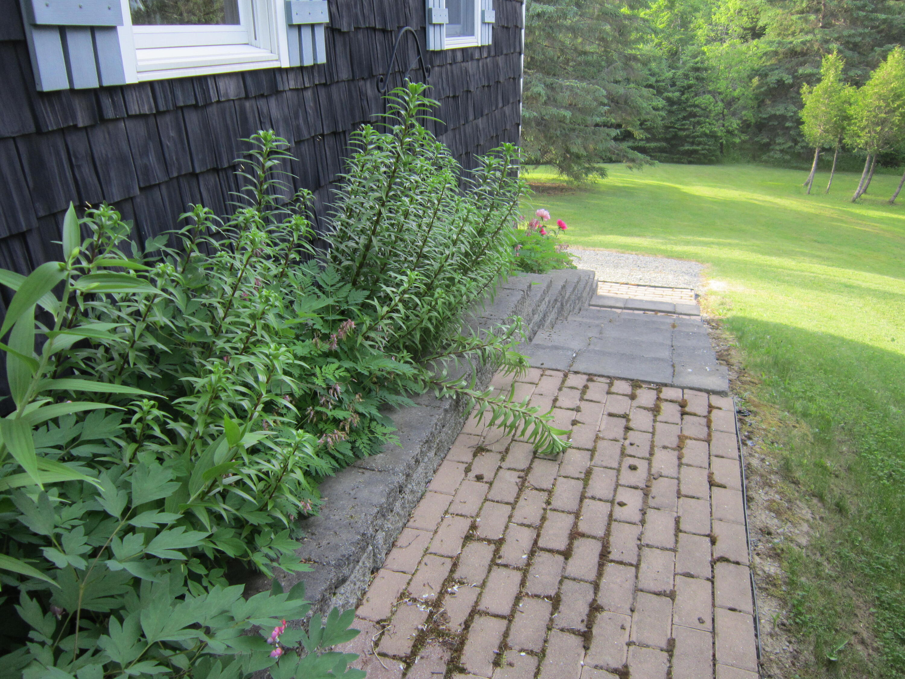 33 Rabbit Ridge Road Woodland, ME 04736 - Photo 75 of 86 IMG_3533