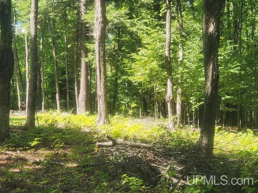 Tbd West Tamarack Lake Road, Unit LOT 5 Watersmeet, MI 49969 - Photo 21 of 66