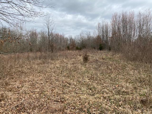 0 Steiman Road, Unit 11AC Sardinia, OH 45171 - Photo 17 of 25 Gallery Image 17