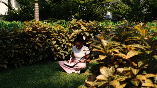 a view of a backyard with plants