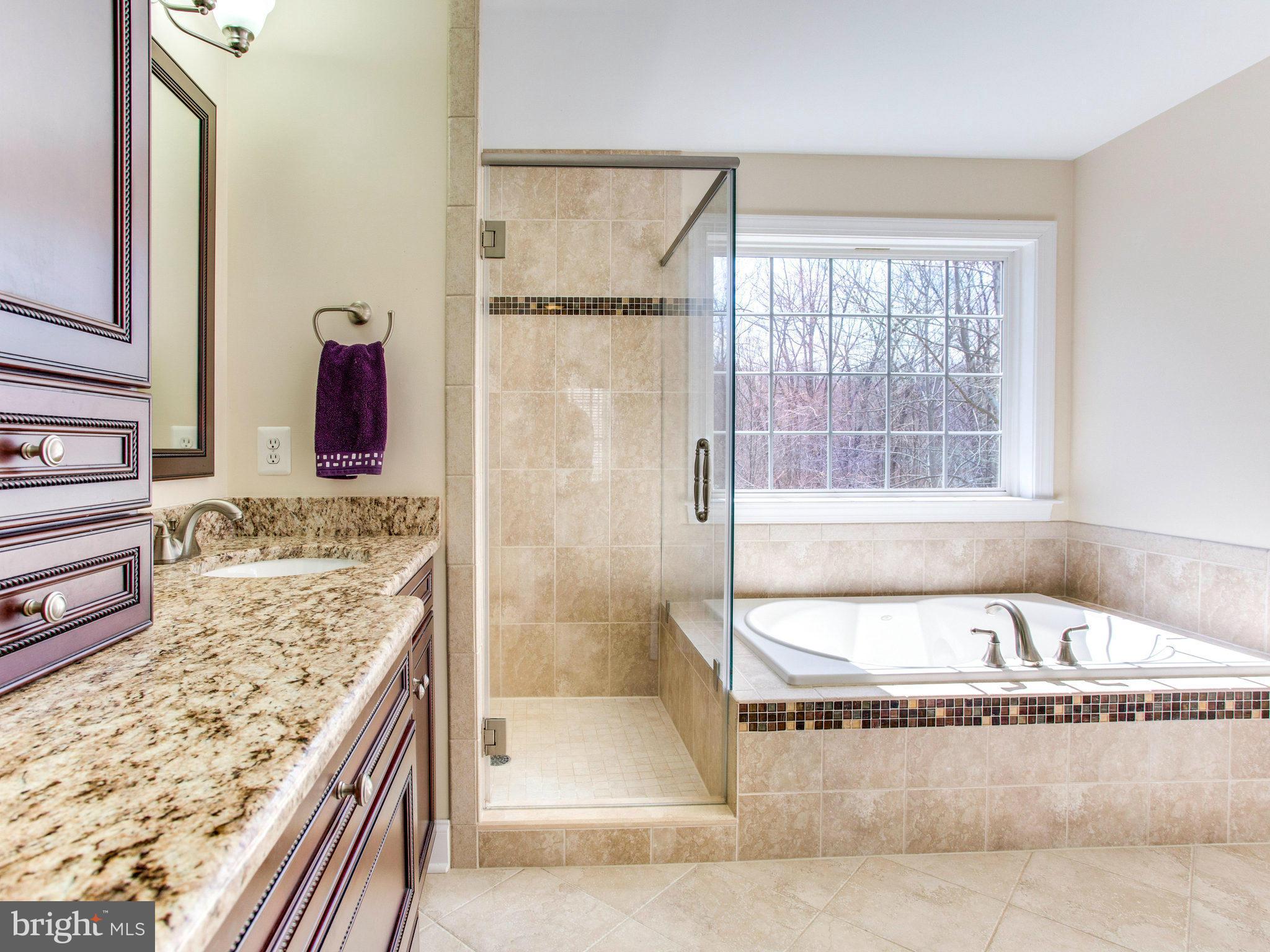 11536 Summit Ridge Court Manassas, VA 20112 - Photo 24 of 30 Bath (Master)