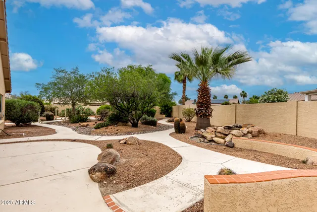 a view of a backyard with palm trees