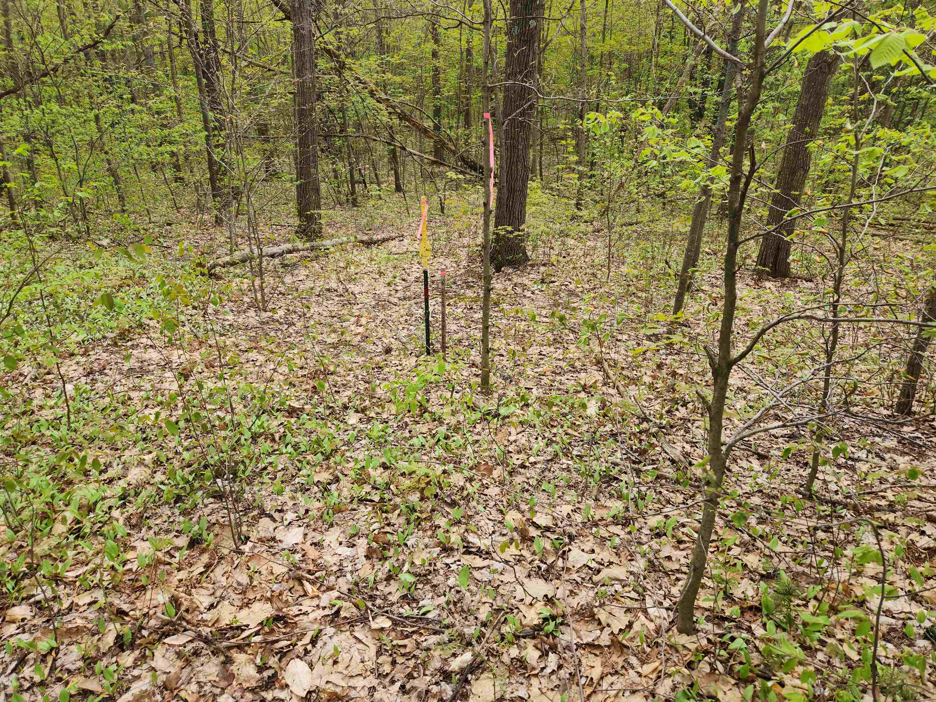 Lot 20 Heather Ridge Trail Beulah, MI 49617 - Photo 8 of 12