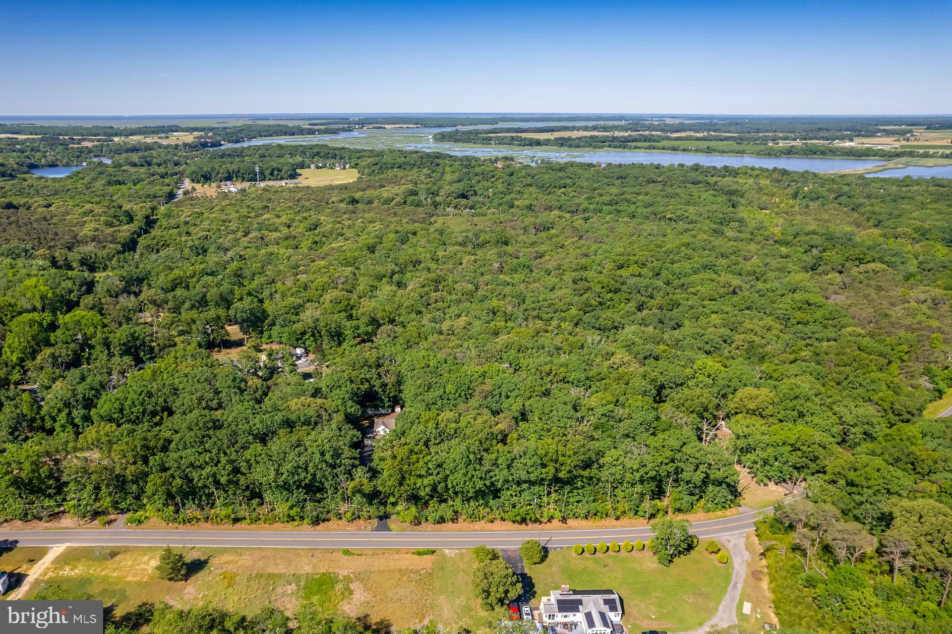 164 Clarks Pond Road Bridgeton, NJ 08302 - Photo 14 of 27 Lush greenery meets serene waterways.