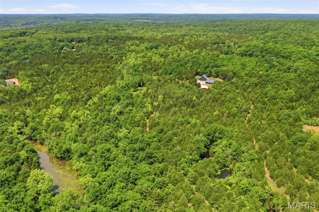 10330 Bottom Diggins Road Cadet, MO 63630 - Photo 4 of 68
