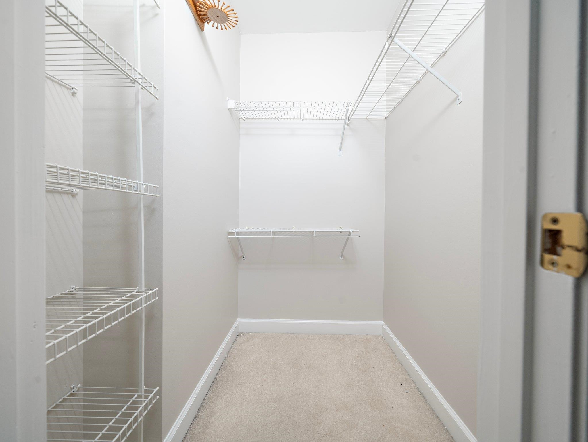 4809 Mimetree Court Raleigh, NC 27616 - Photo 17 of 22 Photo 17