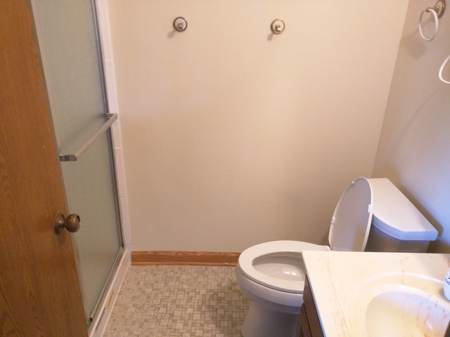 316 East Rimini Court Palatine, IL 60067 - Photo 11 of 13