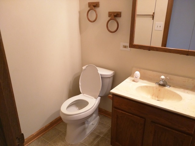316 East Rimini Court Palatine, IL 60067 - Photo 12 of 13