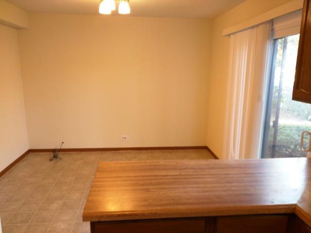 316 East Rimini Court Palatine, IL 60067 - Photo 7 of 13