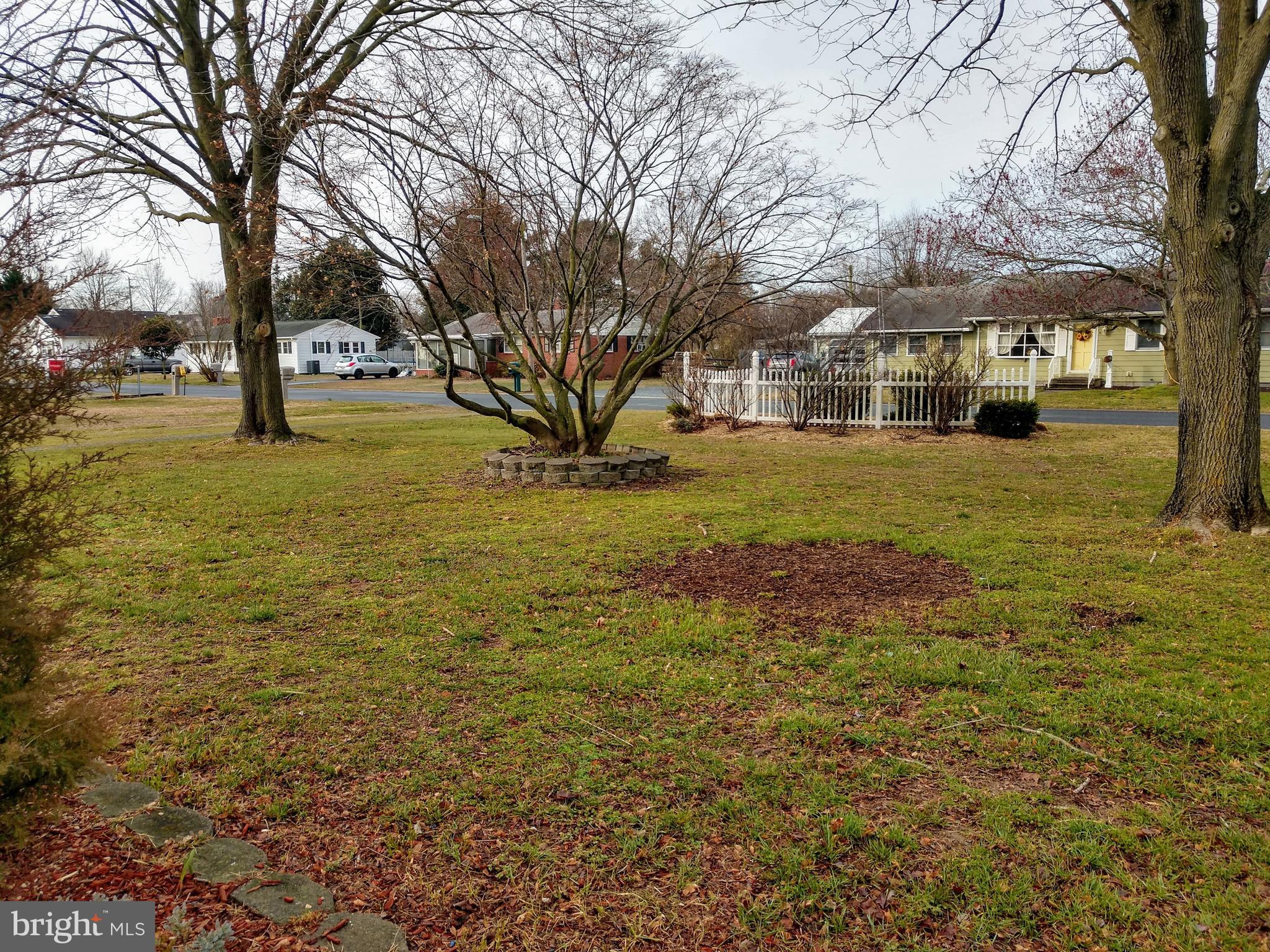 10 North Maple Avenue Ridgely, MD 21660 - Photo 4 of 22 Front Yard