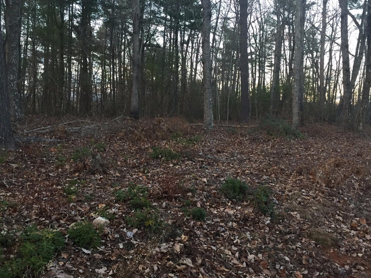 480 Isolane Road Callaway, VA 24067 - Photo 3 of 8 2