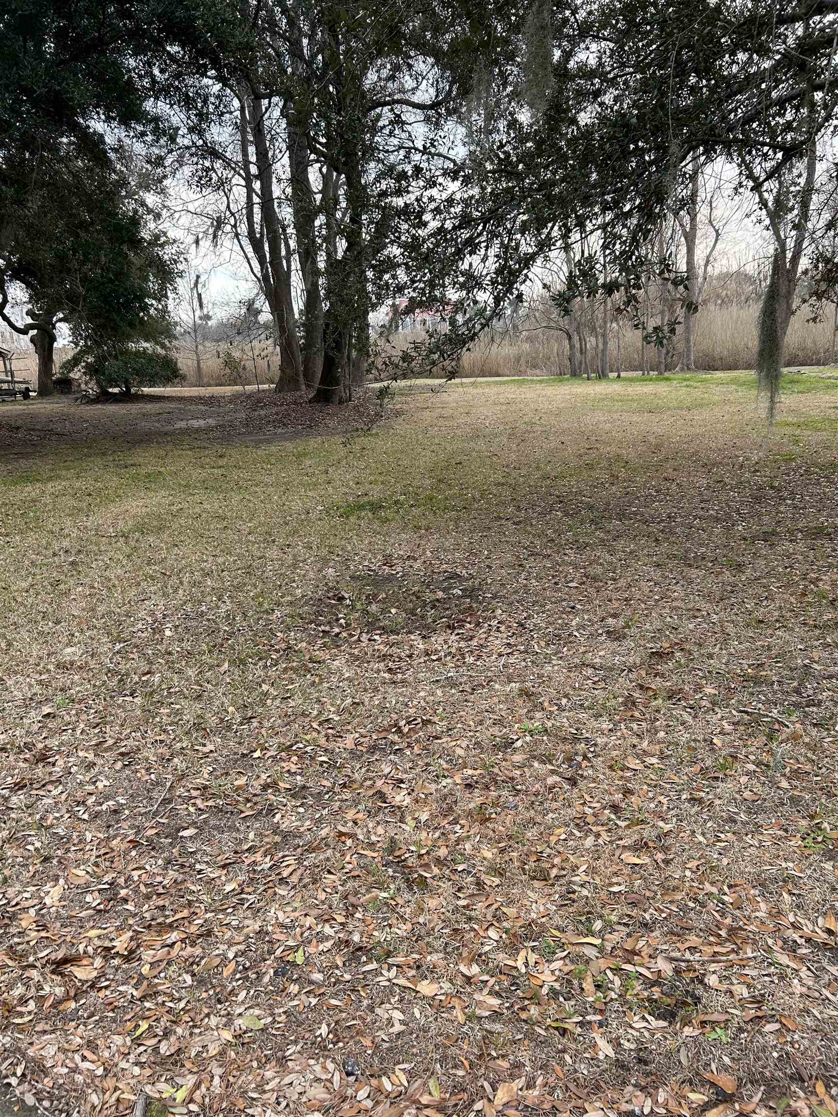 325 Kaufman Street Georgetown, SC 29440 - Photo 2 of 6