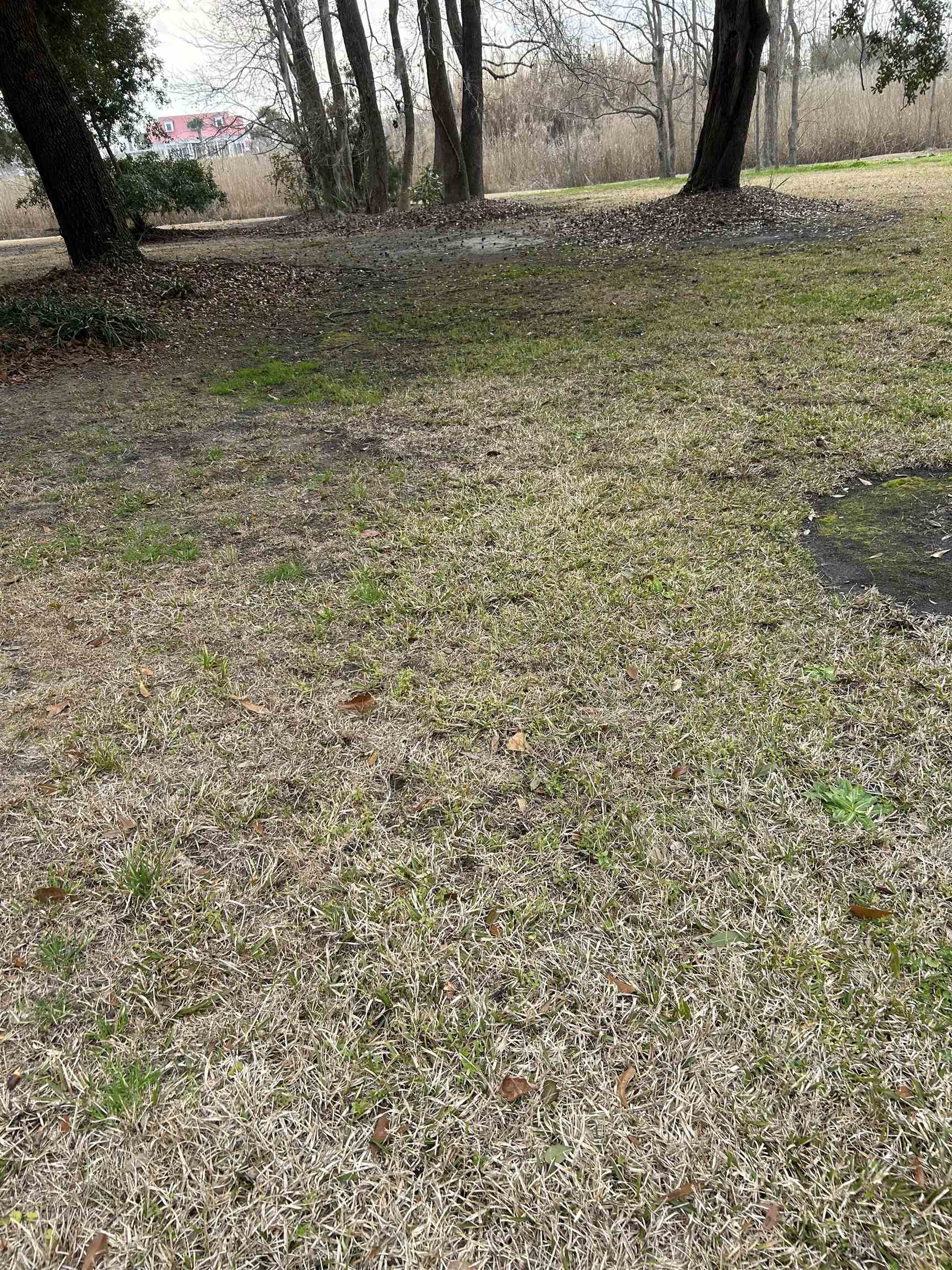 325 Kaufman Street Georgetown, SC 29440 - Photo 4 of 6