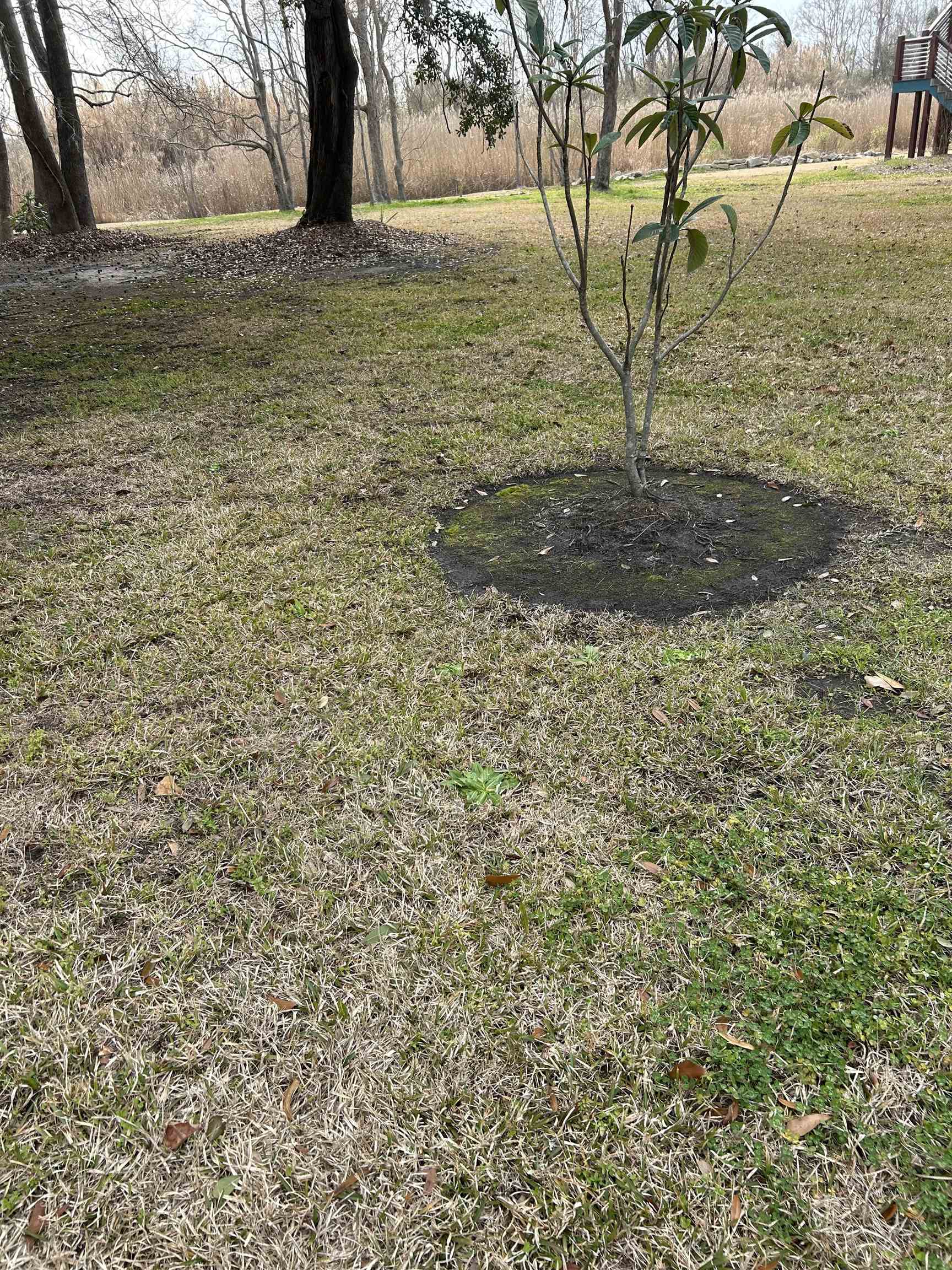325 Kaufman Street Georgetown, SC 29440 - Photo 5 of 6