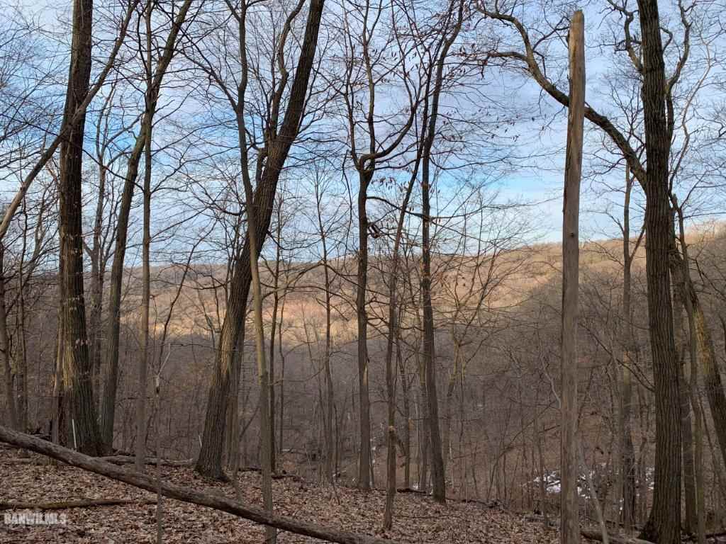 Tbd West Chestnut Mountain Road Hanover, IL 61036 - Photo 8 of 23 a view of a forest