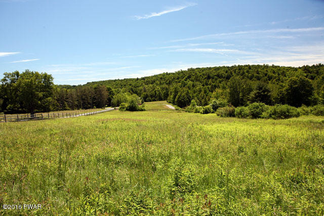0 Jaketown Road Livingston Manor, NY 12758 - Photo 9 of 16
