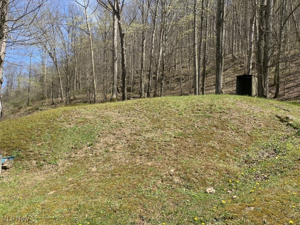 1238 Clio Road Clendenin, WV 25045 - Photo 16 of 21