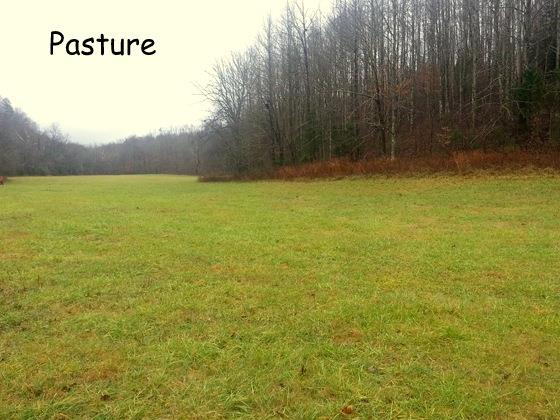 199 Jimmy Thomas Road Waynesboro, TN 38485 - Photo 12 of 29 Gallery Image 12