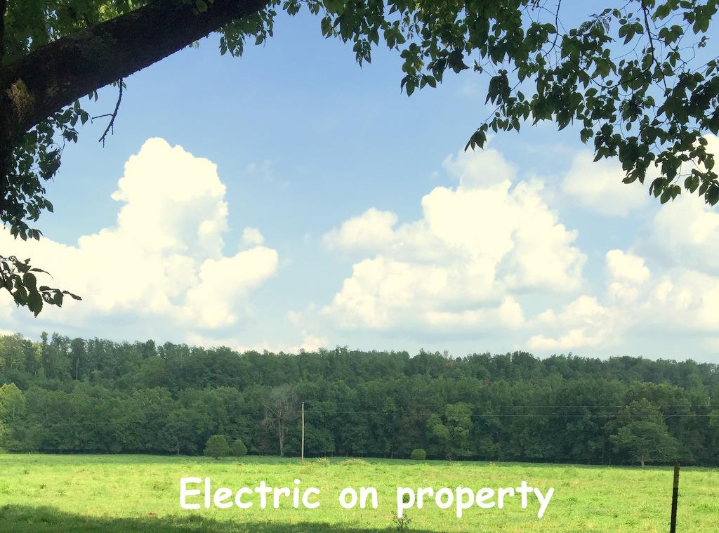 199 Jimmy Thomas Road Waynesboro, TN 38485 - Photo 18 of 29 Gallery Image 18