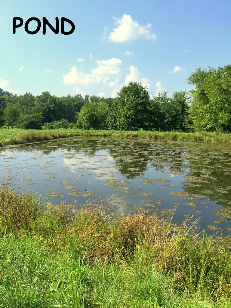 199 Jimmy Thomas Road Waynesboro, TN 38485 - Photo 28 of 29 Gallery Image 28