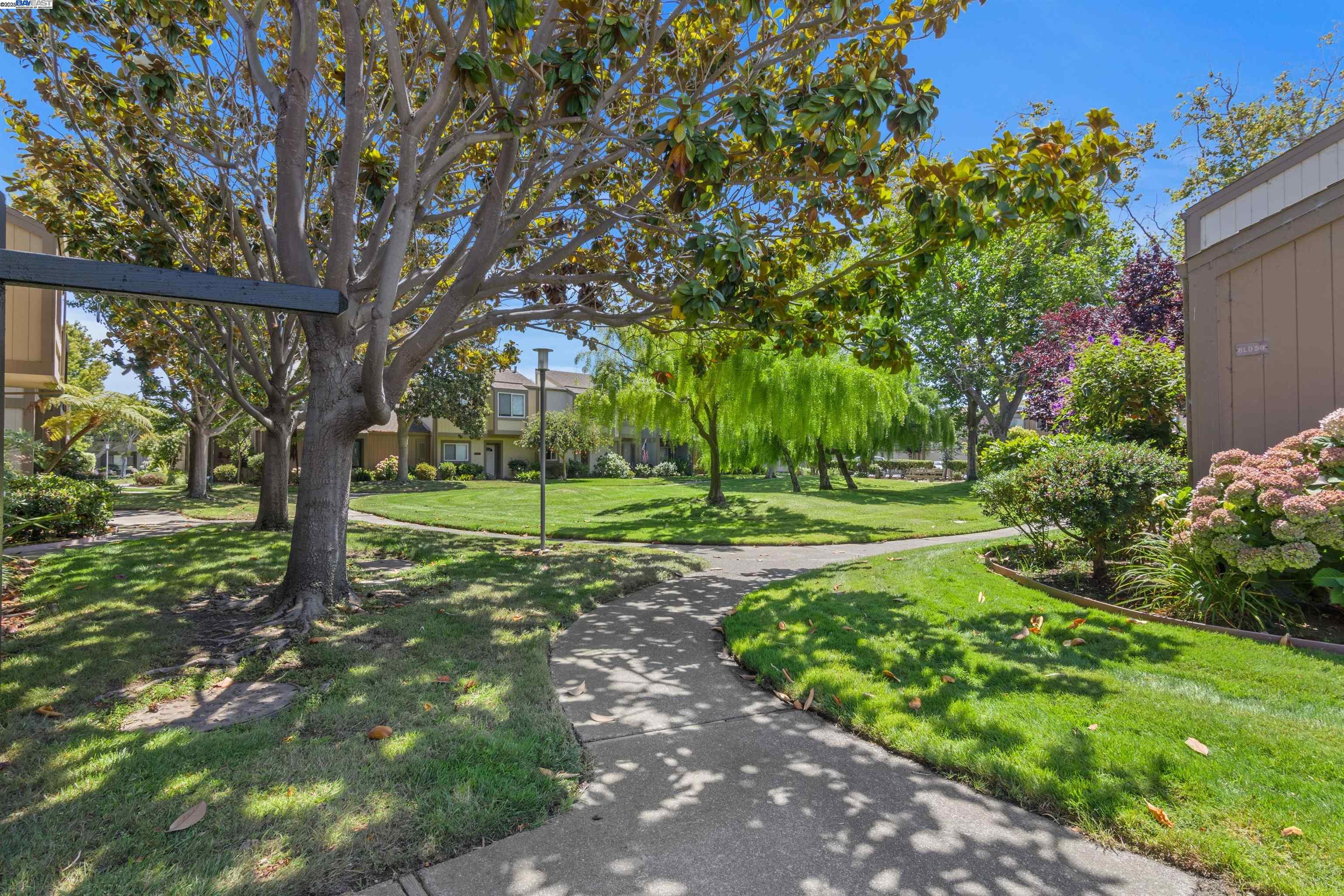 3334 Solomon Lane Alameda, CA 94502 - Photo 2 of 42
