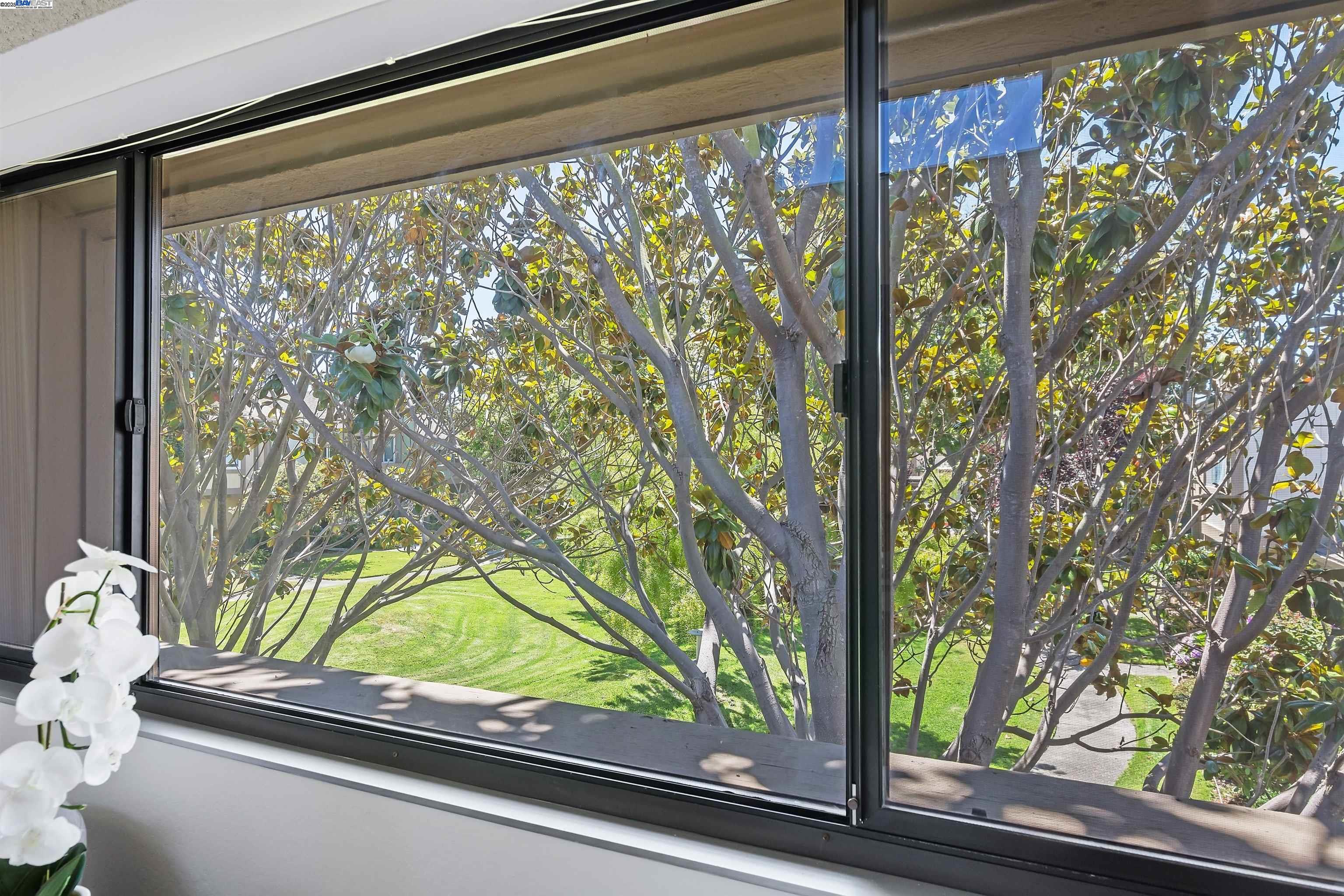 3334 Solomon Lane Alameda, CA 94502 - Photo 27 of 42