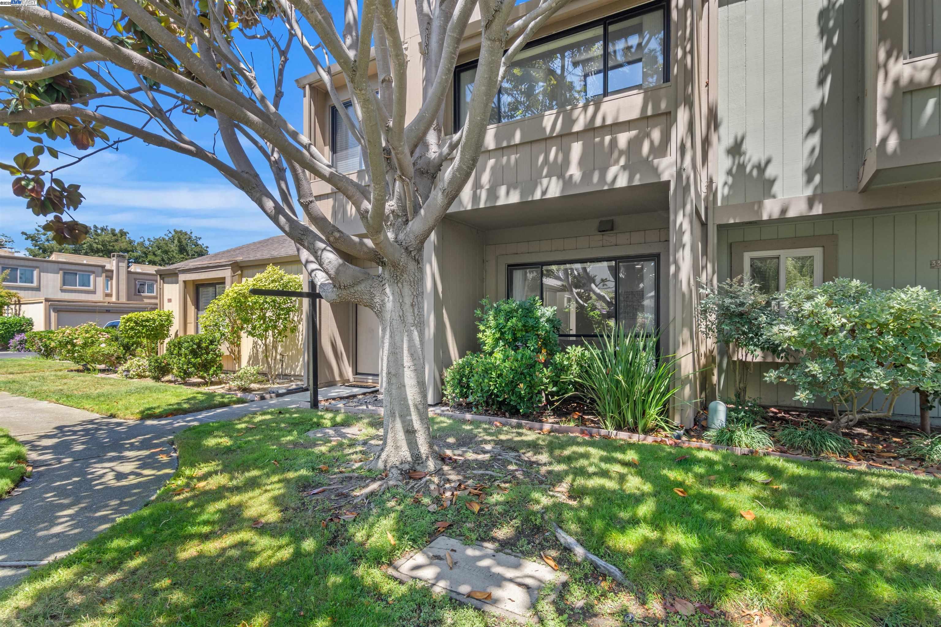 3334 Solomon Lane Alameda, CA 94502 - Photo 3 of 42