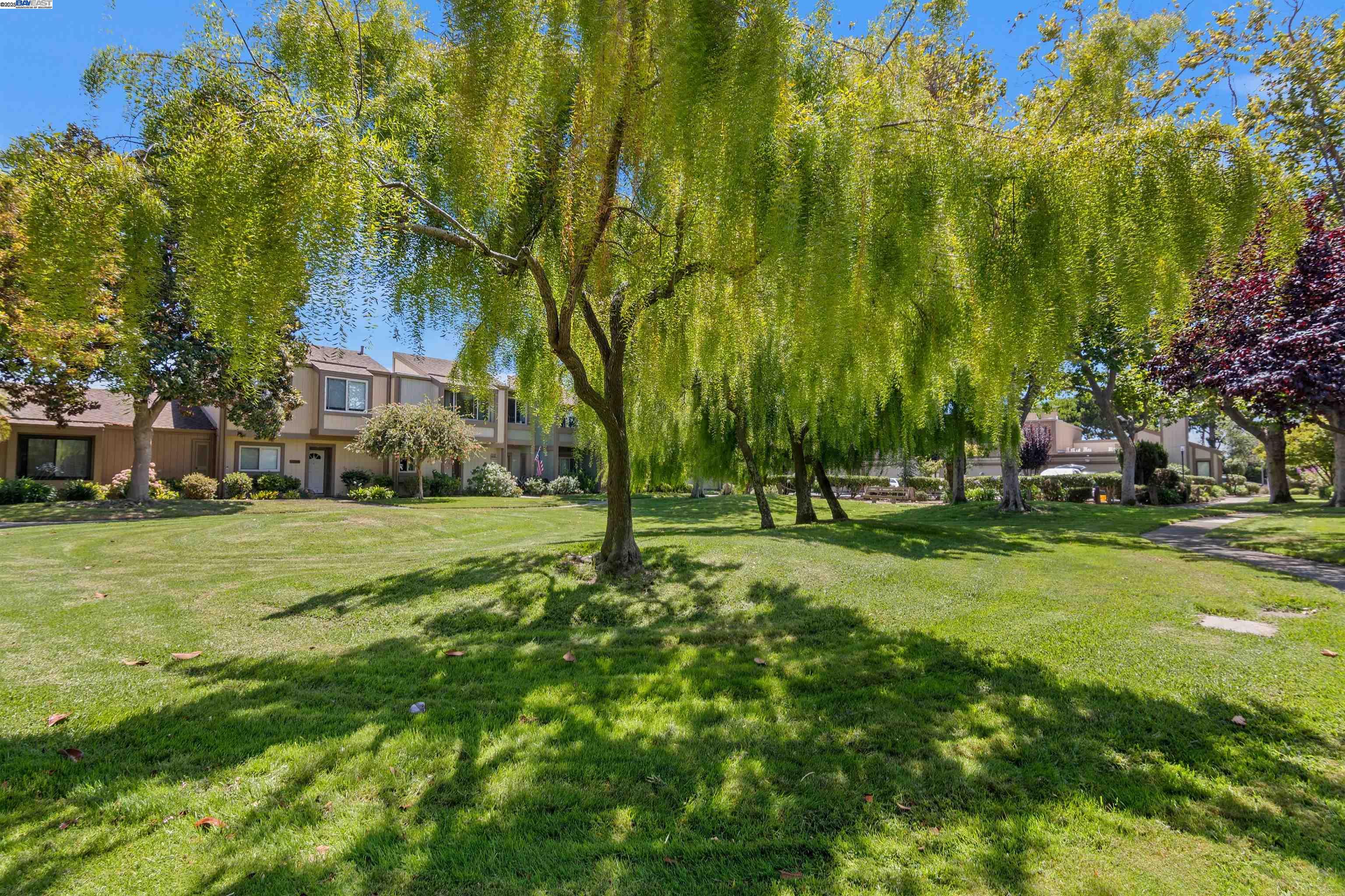 3334 Solomon Lane Alameda, CA 94502 - Photo 41 of 42