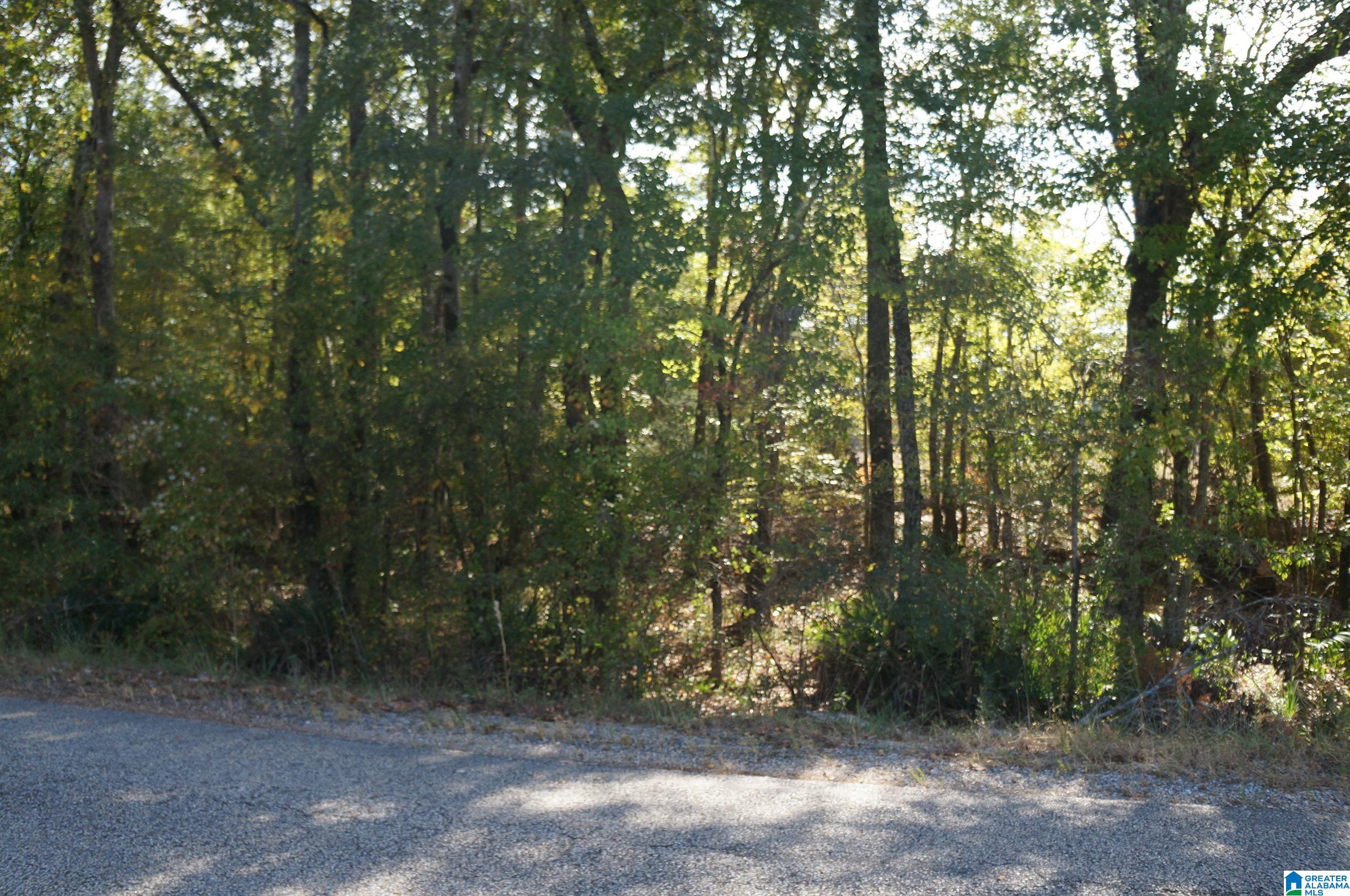 0 Old Fayetteville Road Sylacauga, AL 35151 - Photo 2 of 10