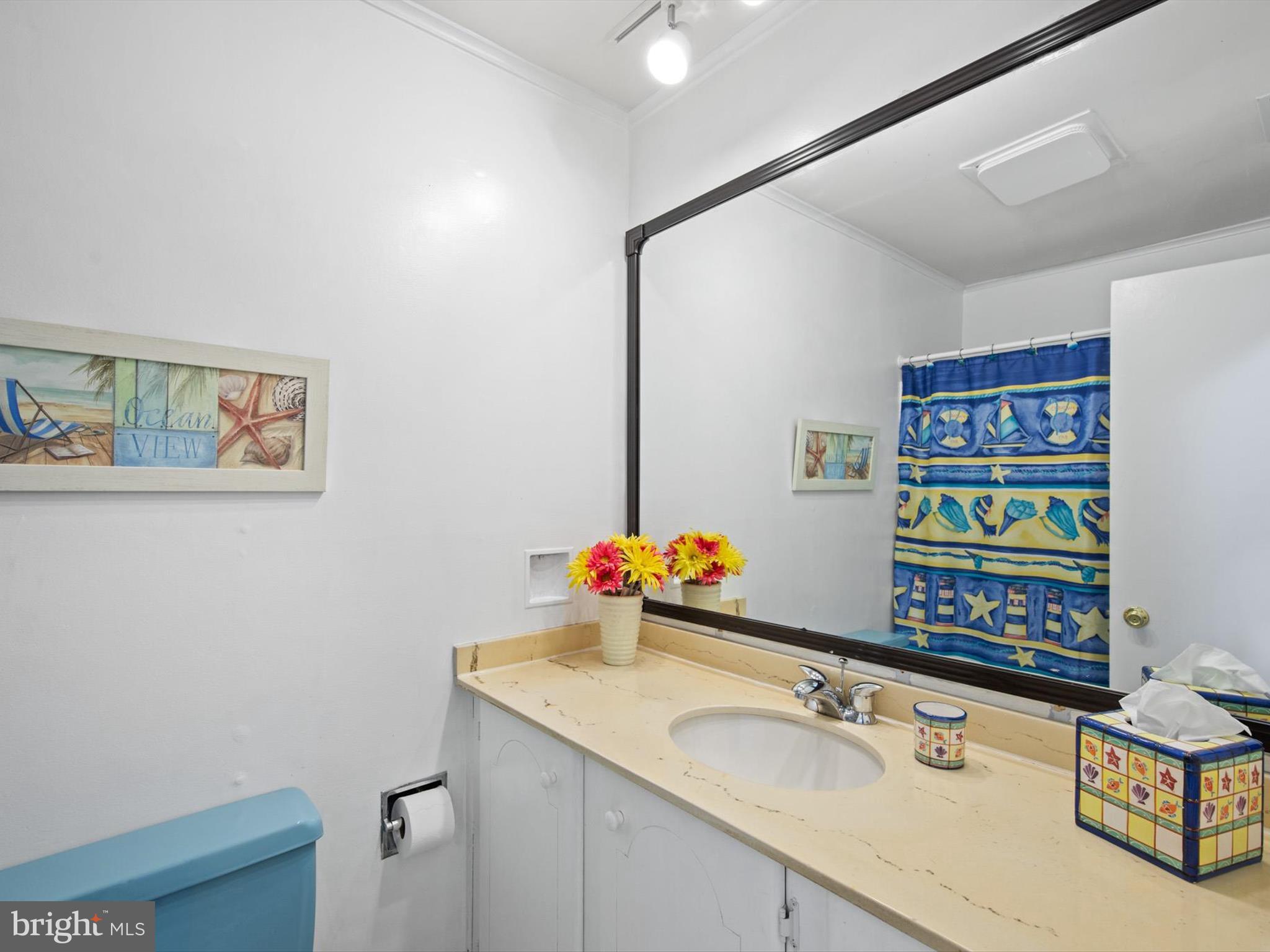 47 Moonraker Road Ocean Pines, MD 21811 - Photo 25 of 56 Full Bath